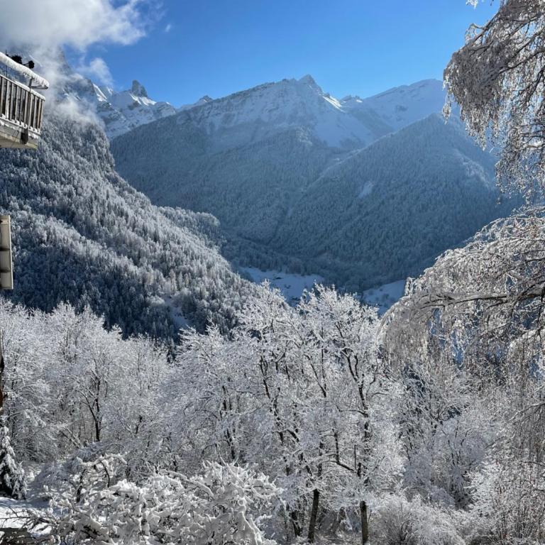 Chalet Rayon de Soleil Gryon Villars - Deluxe Studio - 26