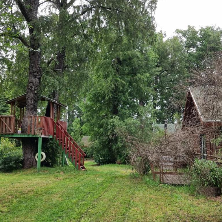 La Casa del Árbol Villarrica Cabañas-Piscina-Tinajas - Casa de 2 dormitorios - 60