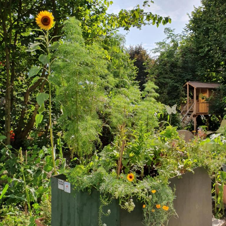 Zentral gelegene Wohnung mit grossem Garten - Apartment mit 2 Schlafzimmern - 34