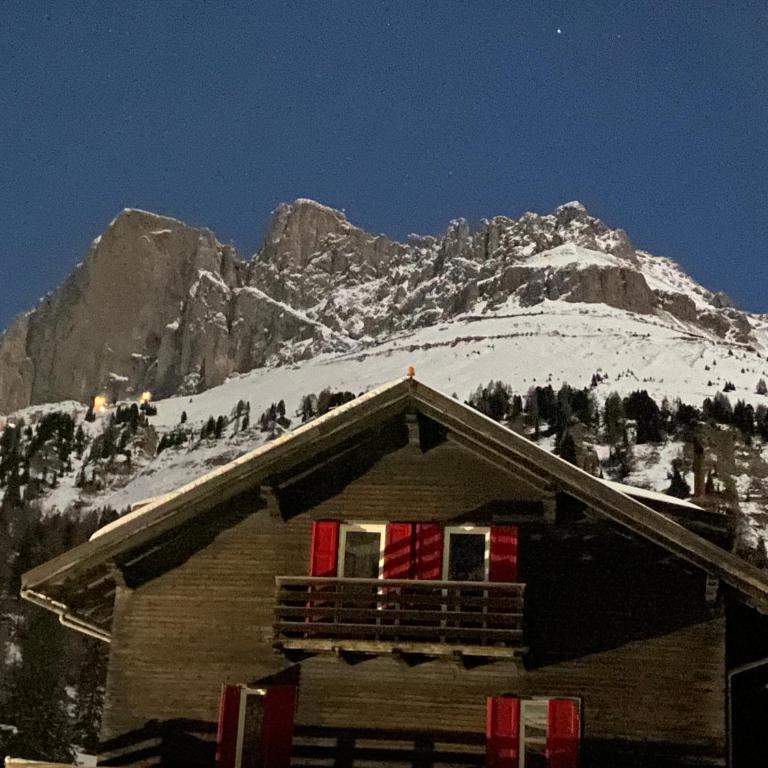 COSTALUNGAHOUSE TrekkingBikeSki selfcheck-in apartment - Appartamento con 1 Camera da Letto - 91