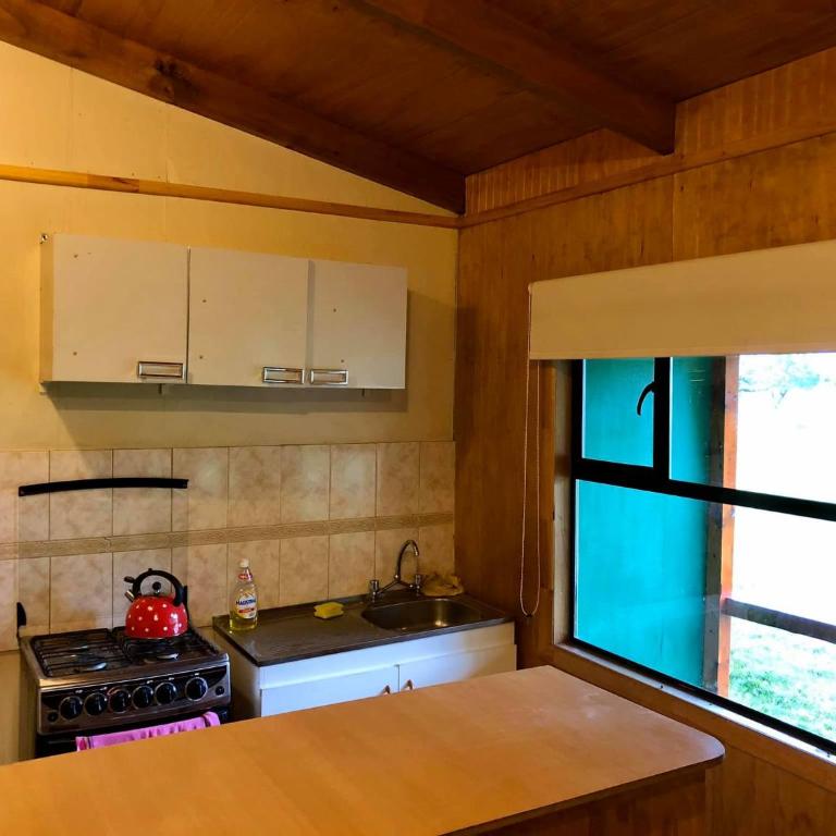 Cabañas Vista al Paine - Two-Bedroom Apartment - 12