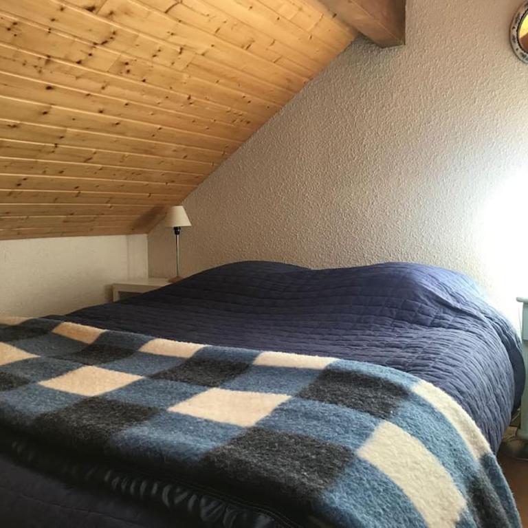 Appartement 65m2 esprit Chalet. Parking. Balcon - Appartement 2 Chambres - 11