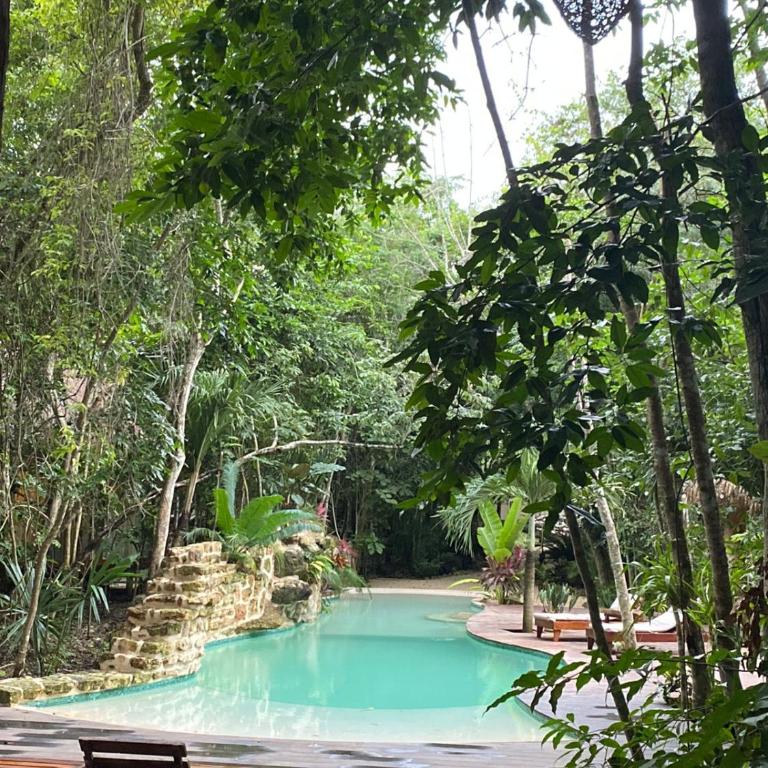Xoot’ka’ana Villa Colibri - Apartamento con vistas al lago - 7