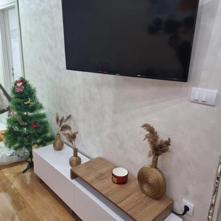 Apartman Stojanovic 2 - Apartman sa 1 Spavaćom Sobom - 18