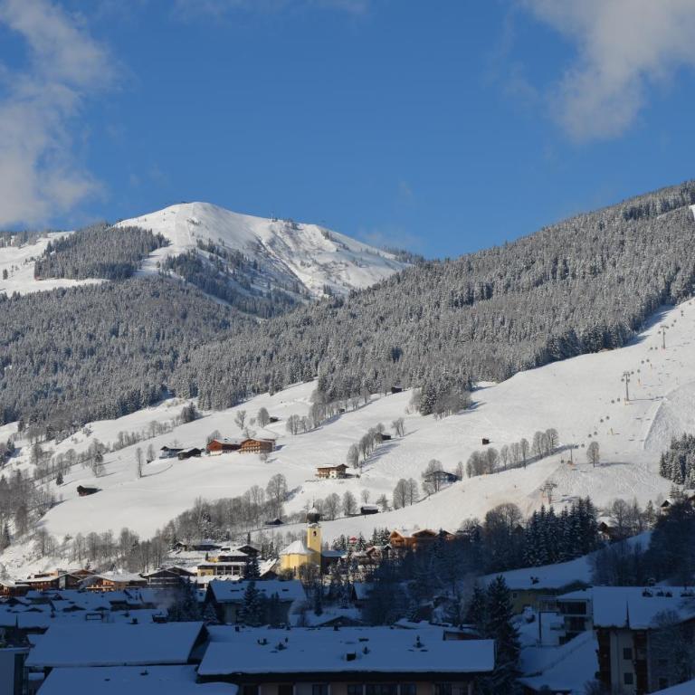 Appartement Gundi Ripper - Apartment mit Balkon - 23