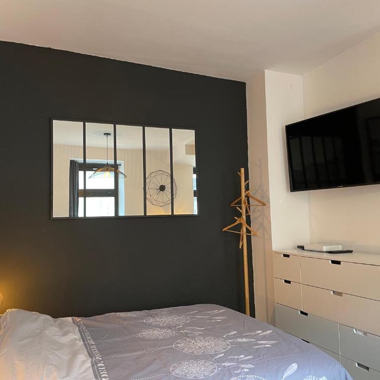 Grand Studio - Le National - Strasbourg Centre - Appartamento Monolocale - 7