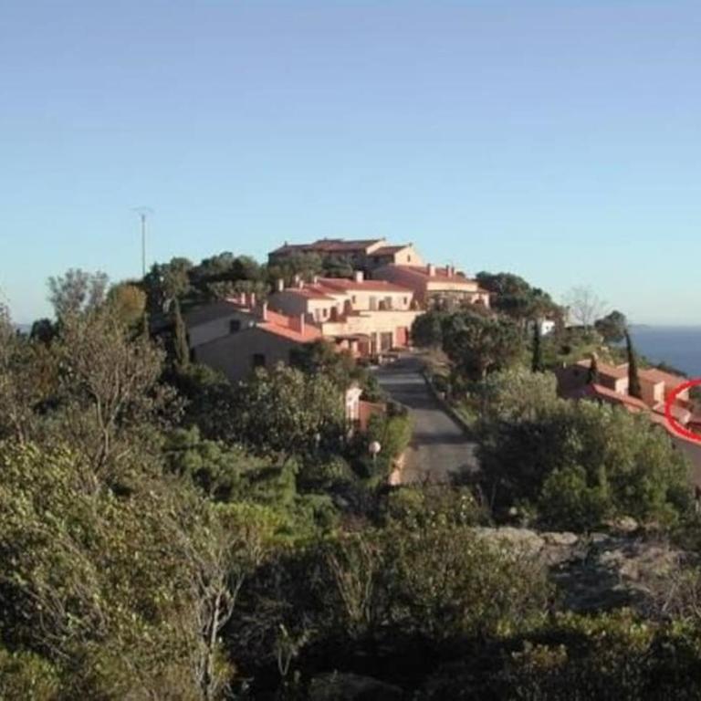 les hauts de st clair,vue mer et vert,tres calme - Appartement 3 Chambres - 8