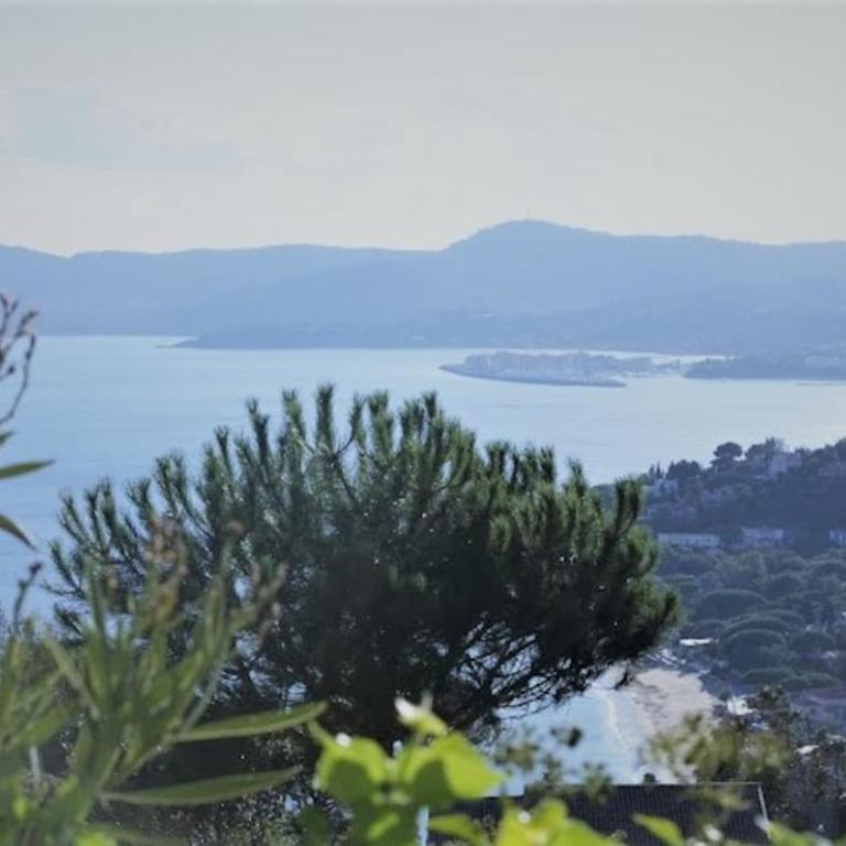 les hauts de st clair,vue mer et vert,tres calme - Appartement 3 Chambres - 15