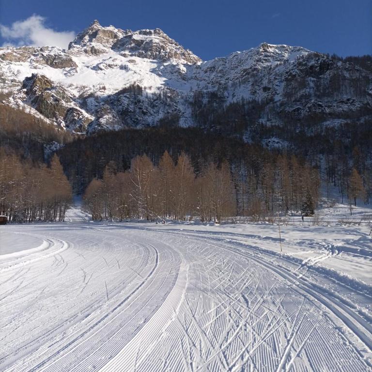 Maison Meynet Mountain Charm - Appartamento Monolocale - 44