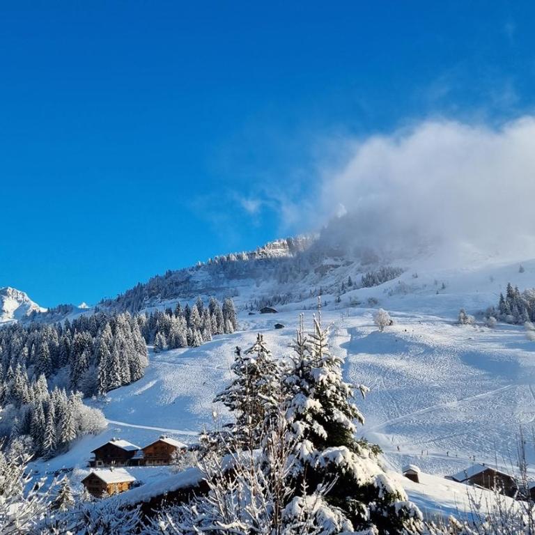 Le Samance 1 - Chalet con 2 Camere da Letto - 25