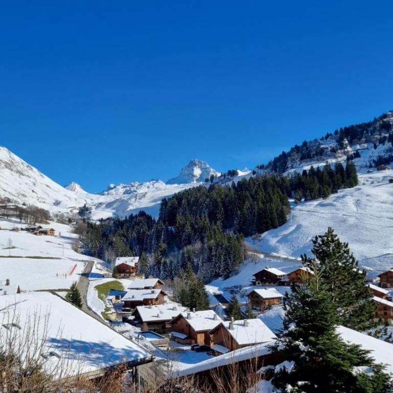 Le Samance 2 - Chalet - 27