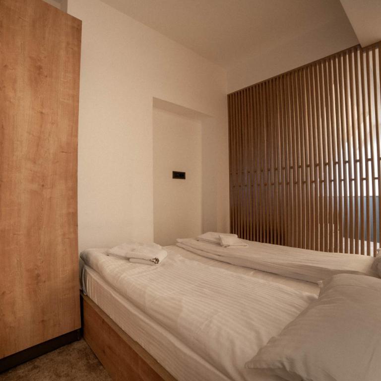 Apartments Suncani Vrhovi Kopaonik - Superior Studio - 10