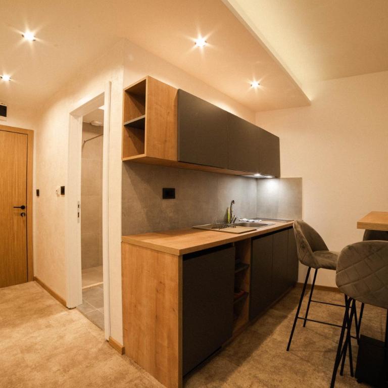 Apartments Suncani Vrhovi Kopaonik - Superior Studio - 7