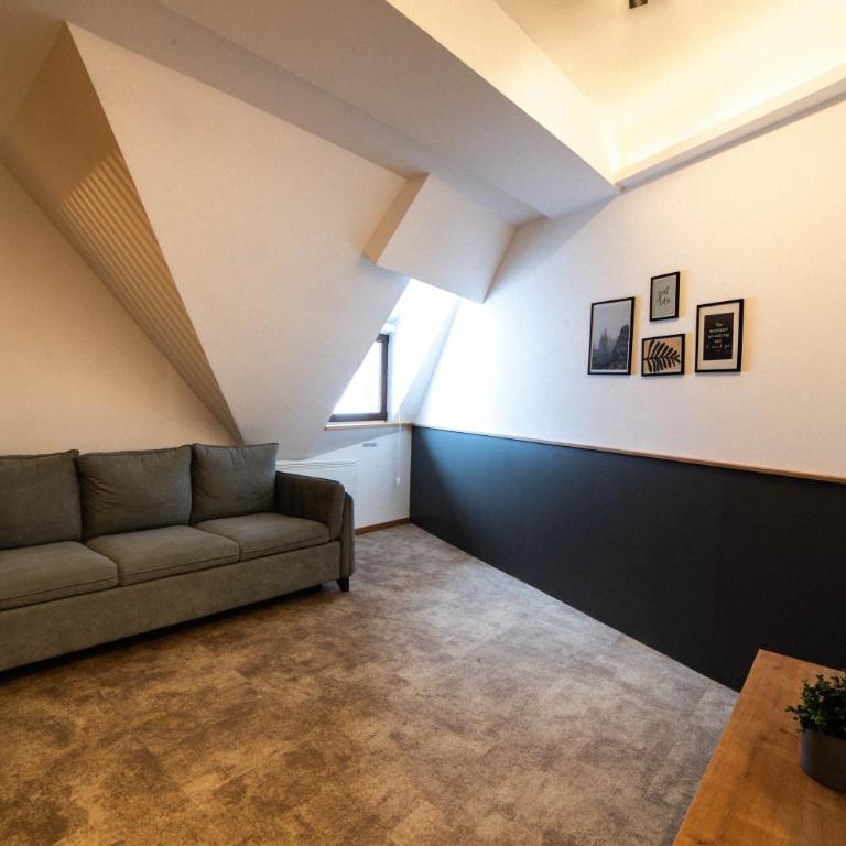 Apartments Suncani Vrhovi Kopaonik - Superior Studio - 6
