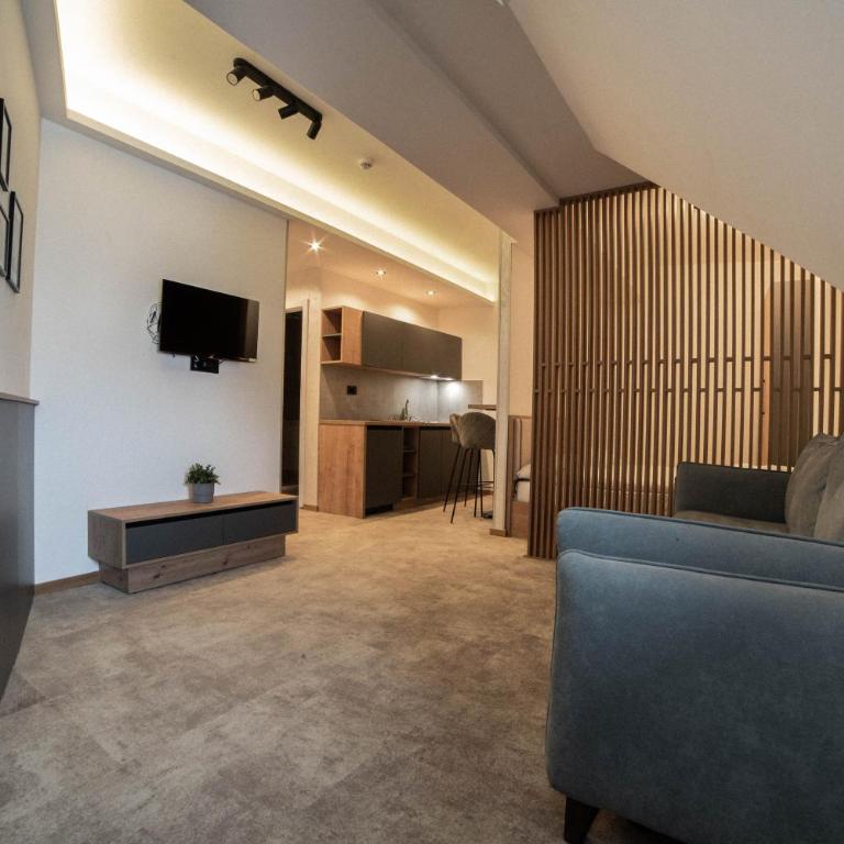 Apartments Suncani Vrhovi Kopaonik - Superior Studio - 3