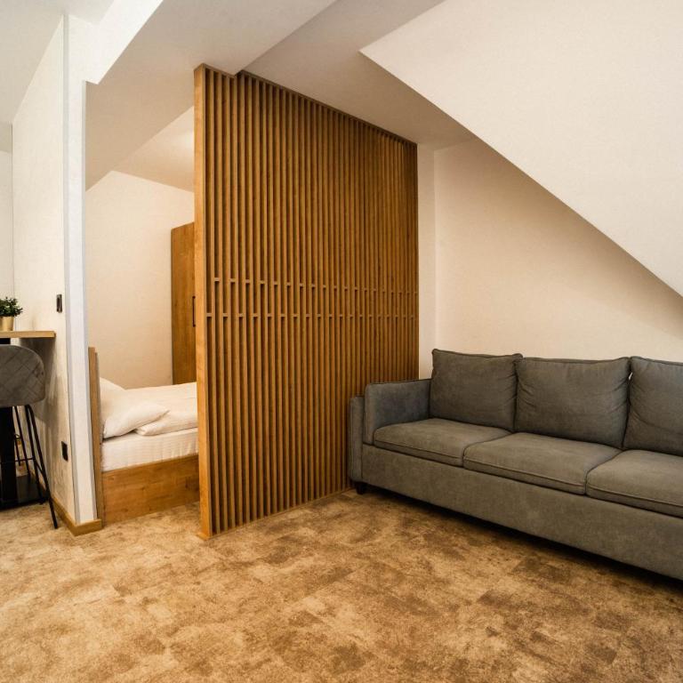Apartments Suncani Vrhovi Kopaonik - Superior Studio - 5