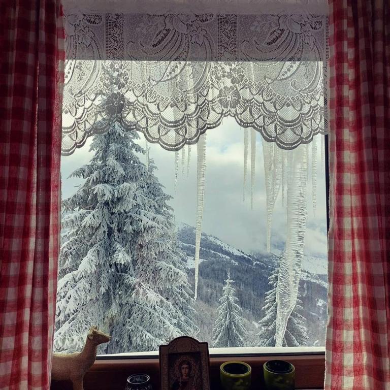 Villa Sofija - One-Bedroom Apartment with Mountain View - 31