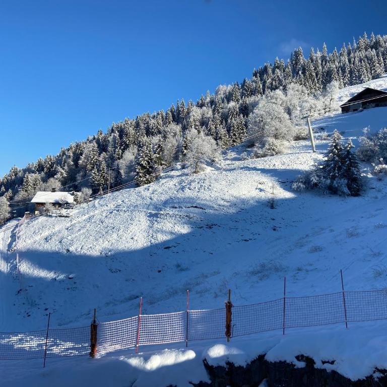 Appartement cosy au pied des pistes - Appartamento con 1 Camera da Letto - 6
