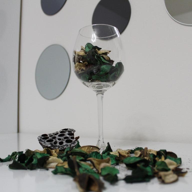 N&AA apartman - Apartman sa 1 Spavaćom Sobom - 9