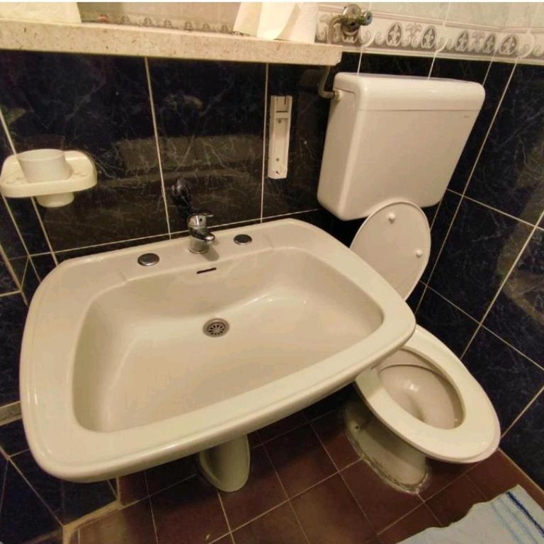 Vojinovic Apartments - Apartman sa Pogledom na Vrt - 5