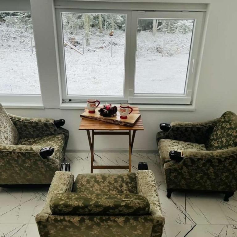 Planinska kuca Colmar - Deluxe Family Room - 10