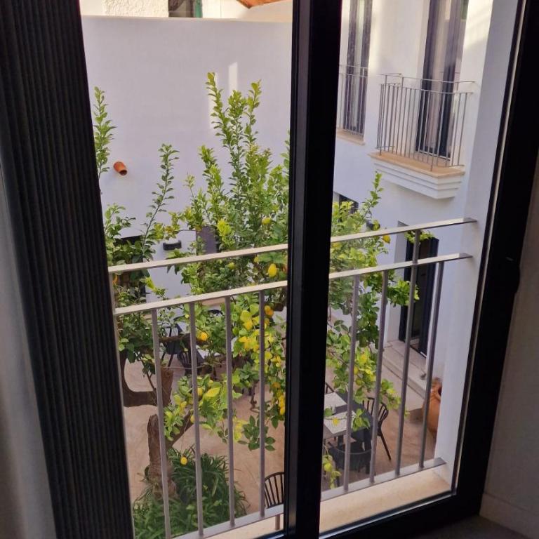 OPUNTIA Hotel Boutique - Suite Junior con balcón - 8