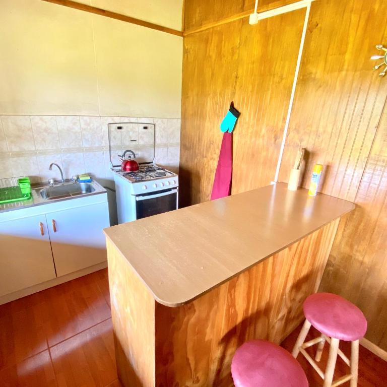 Cabañas Vista al Paine - Two-Bedroom Apartment - 10