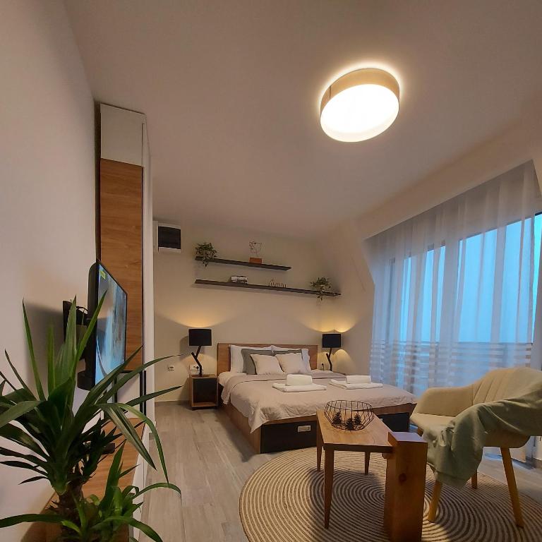 Sunny Woods Apartment - Studio Apartman - 9
