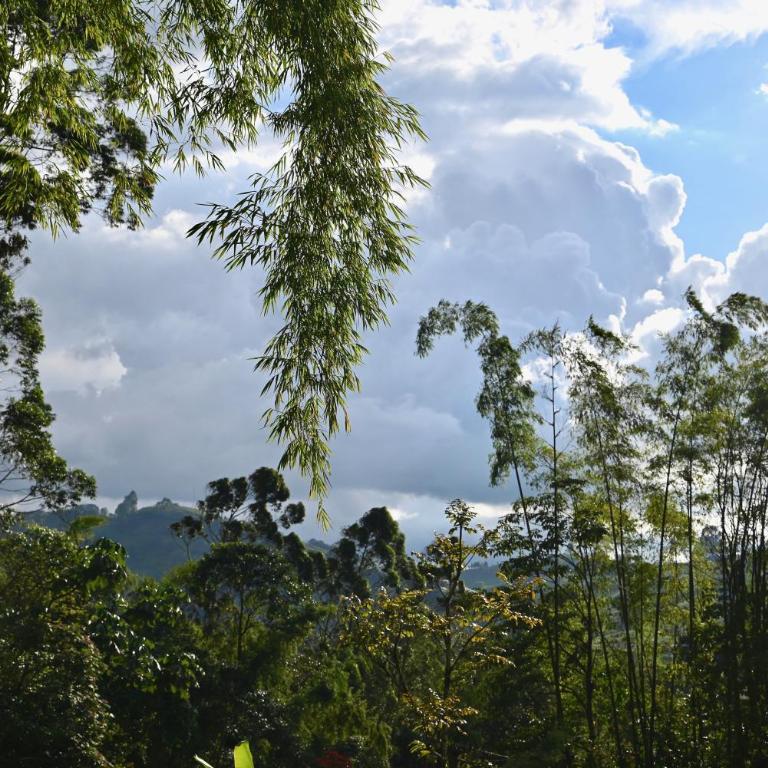 Bambu chalet - Chalet de 3 dormitorios - 12