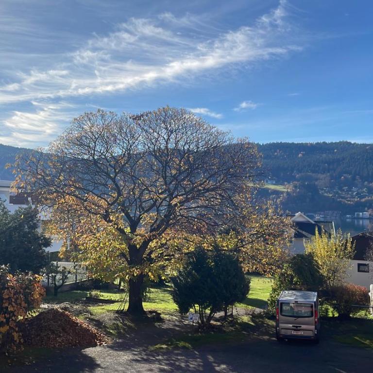 Seeblick Millstatt - Apartment mit 2 Schlafzimmern - 24