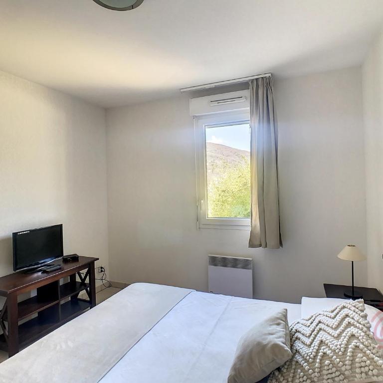 Bel F2 climatisé avec terrasse, proche Thermes et centre-ville, animaux acceptés - FR-1-451-154 - Appartement 1 Chambre - 11