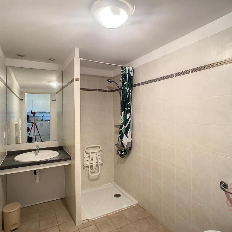 Bel F2 climatisé avec terrasse, proche Thermes et centre-ville, animaux acceptés - FR-1-451-154 - Appartement 1 Chambre - 12