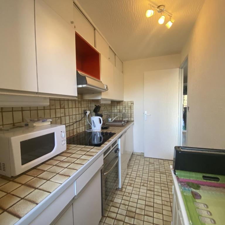 Appartement 2 pièces avec terrasse privative, animaux admis - FR-1-487-332 - Appartamento (4 Adulti) - 6