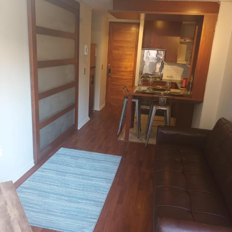 Acogedor y renovado Departamento - Apartamento de 1 dormitorio - 4
