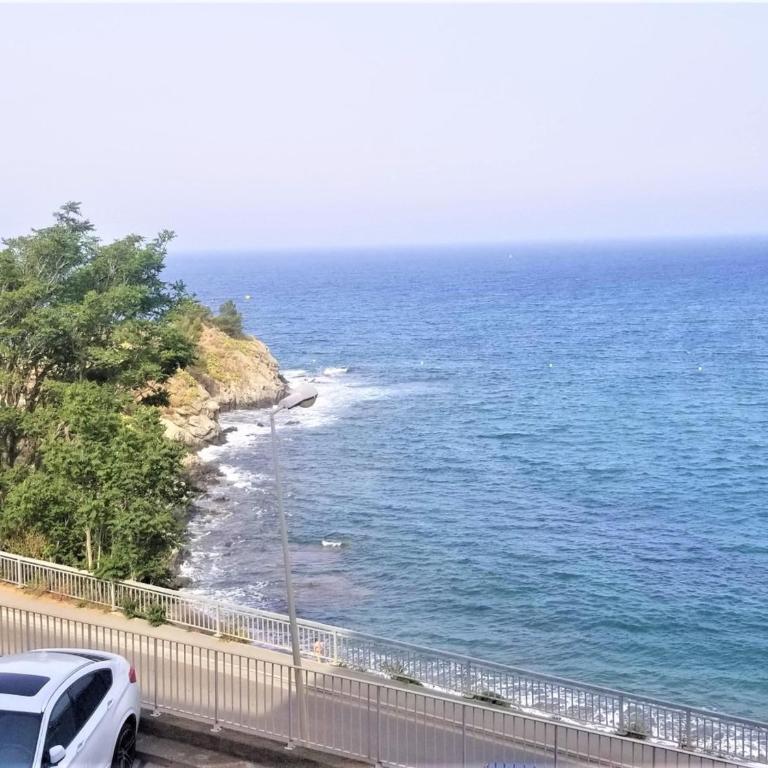 BANYULS-SUR-MER : Appartement T3 climatisé, proche plage - FR-1-309-281 - Two-Bedroom Apartment - 2