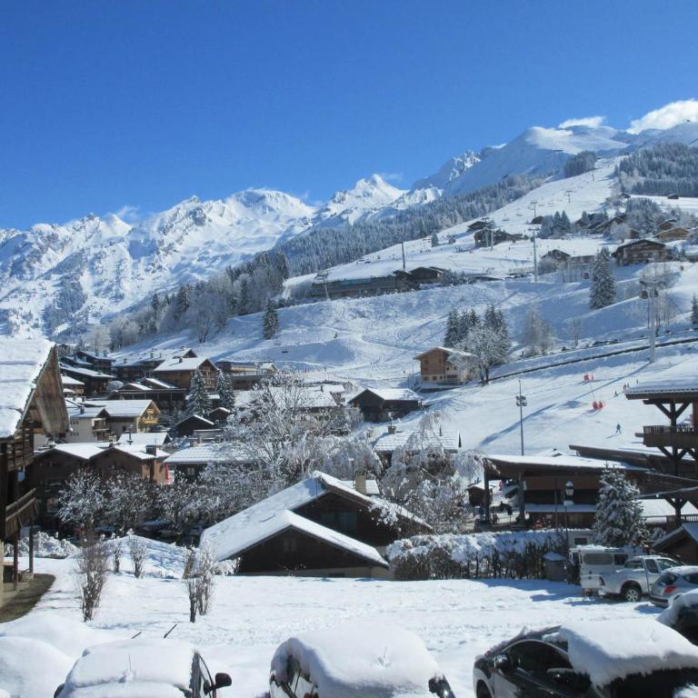 Charmant Studio Cabine proche des Pistes, Village et Commerces - Location Idéale La Clusaz - FR-1-459-200 - Studio - 13