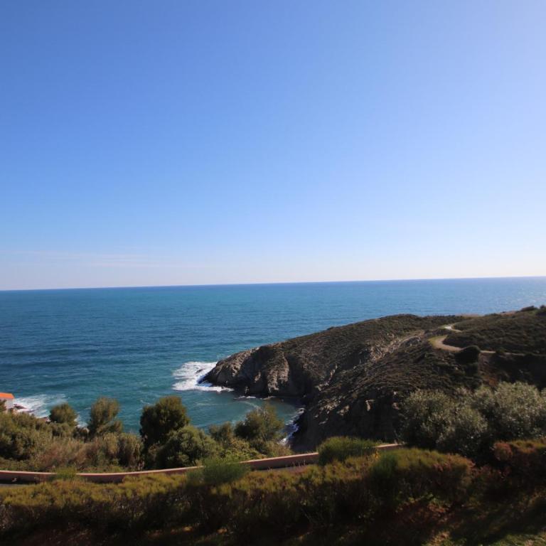 Banyuls-sur-Mer T2 avec terrasse et WIFI - FR-1-309-259 - One-Bedroom Apartment - 1