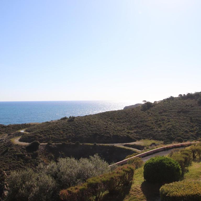 Banyuls-sur-Mer T2 avec terrasse et WIFI - FR-1-309-259 - One-Bedroom Apartment - 2
