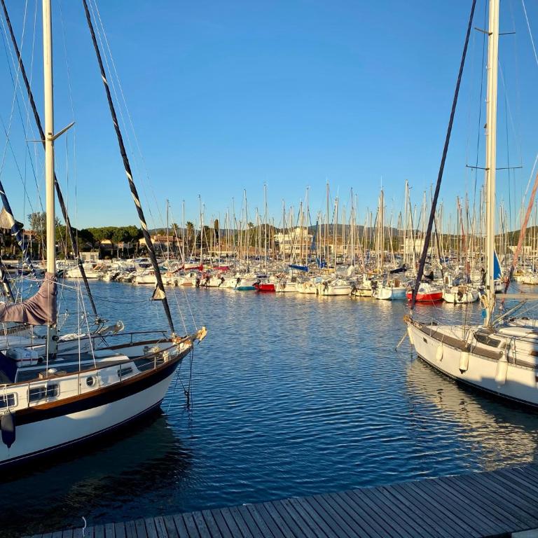 Les locations Cinaureva « La Baie des Îles » - Appartamento con 1 Camera da Letto - 13