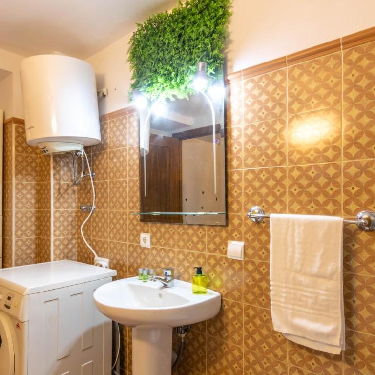 APARTAMENTO PATIO ANDALUZ EN SEVILLA - Apartamento de 1 dormitorio - 23