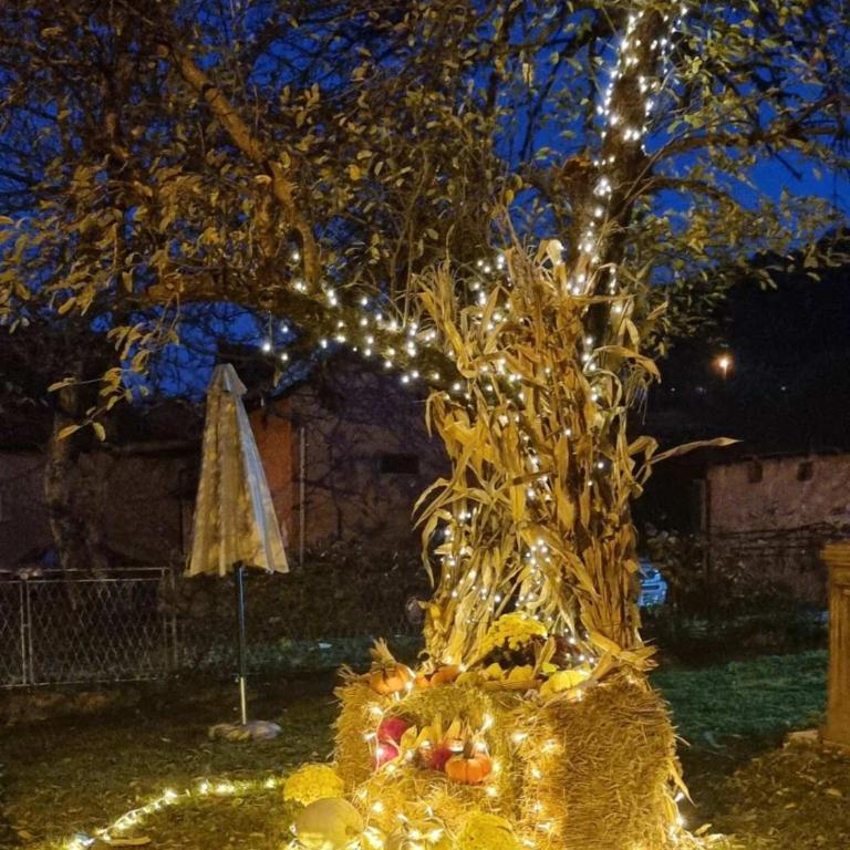 Hacijenda Milosavljević - Kuća sa 2 Spavaće Sobe - 46