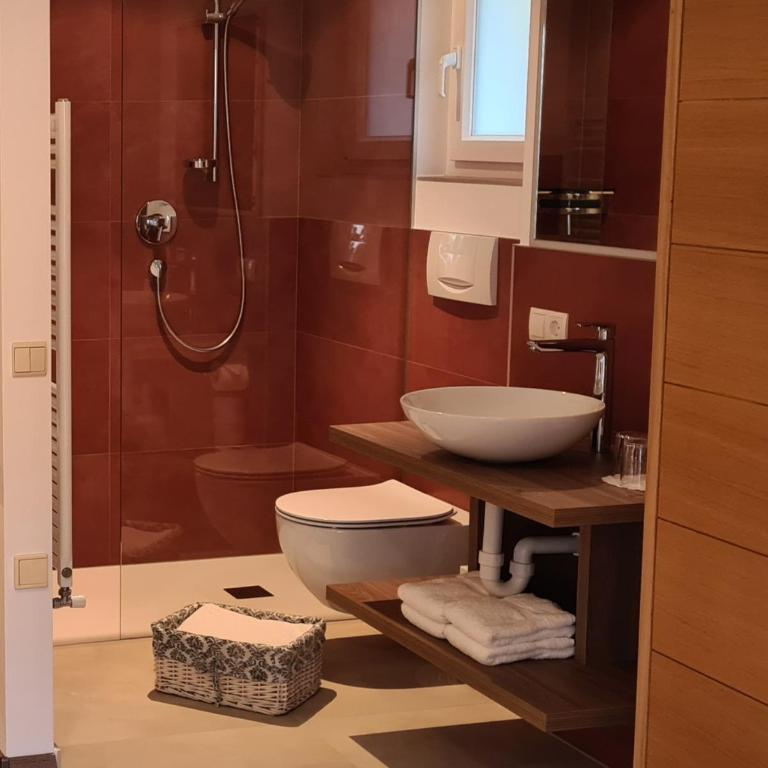 Appartements Dornach - ‪Appartamento con 1 Camera da Letto e Vista Panoramica (2 Adulti)‬ - 18