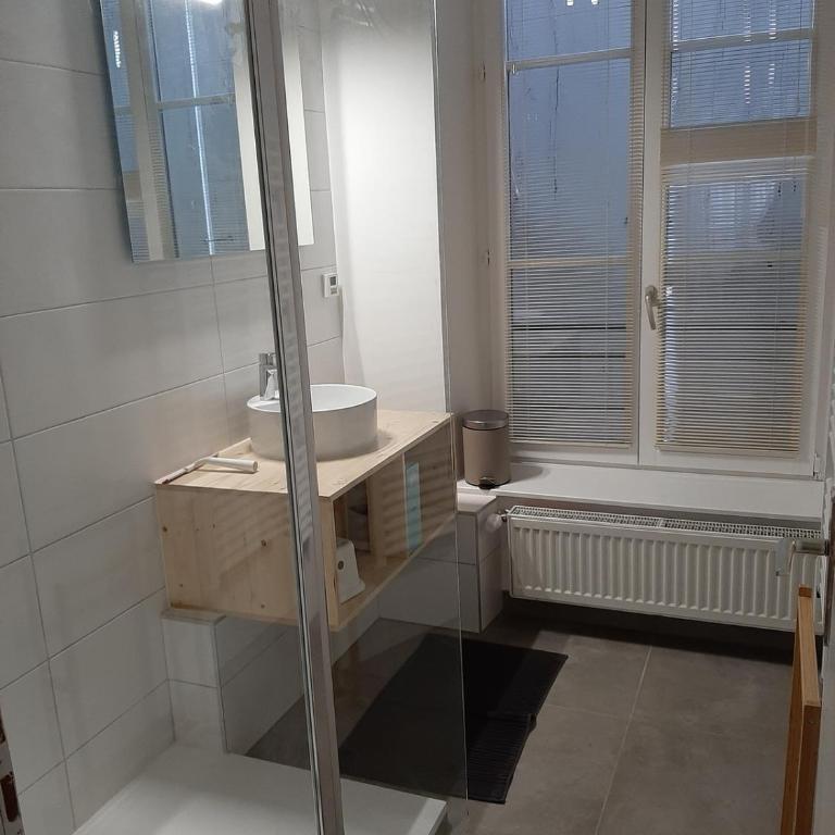 LE 1 " GÎTES TOUT CONFORT à COLMAR CENTRE" - Appartamento - 15