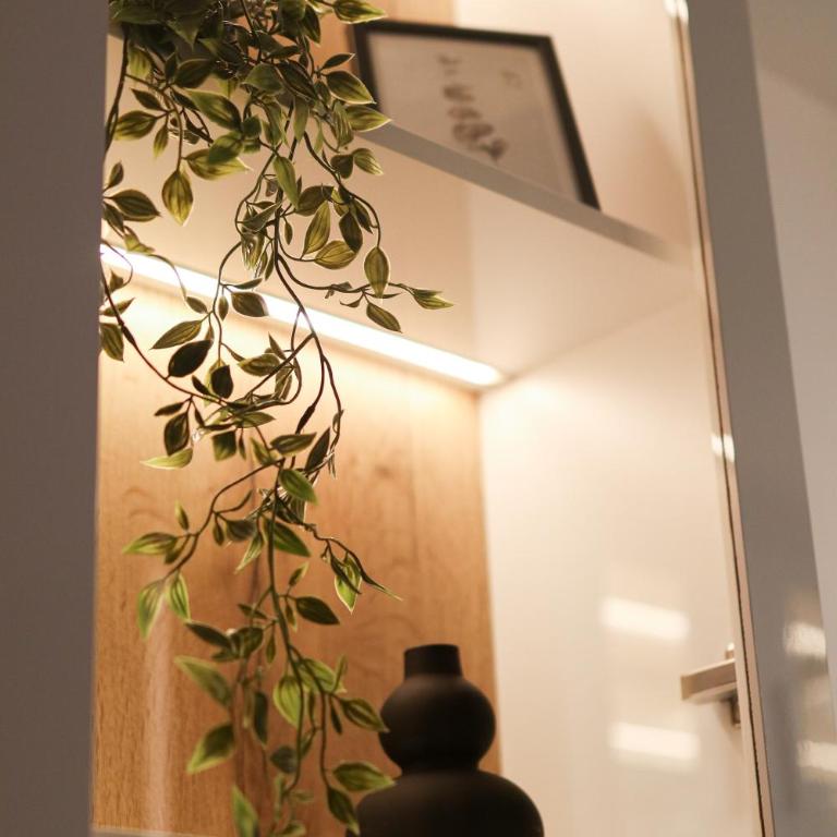 Nivalis Hill 8 - One-Bedroom Apartment - 7