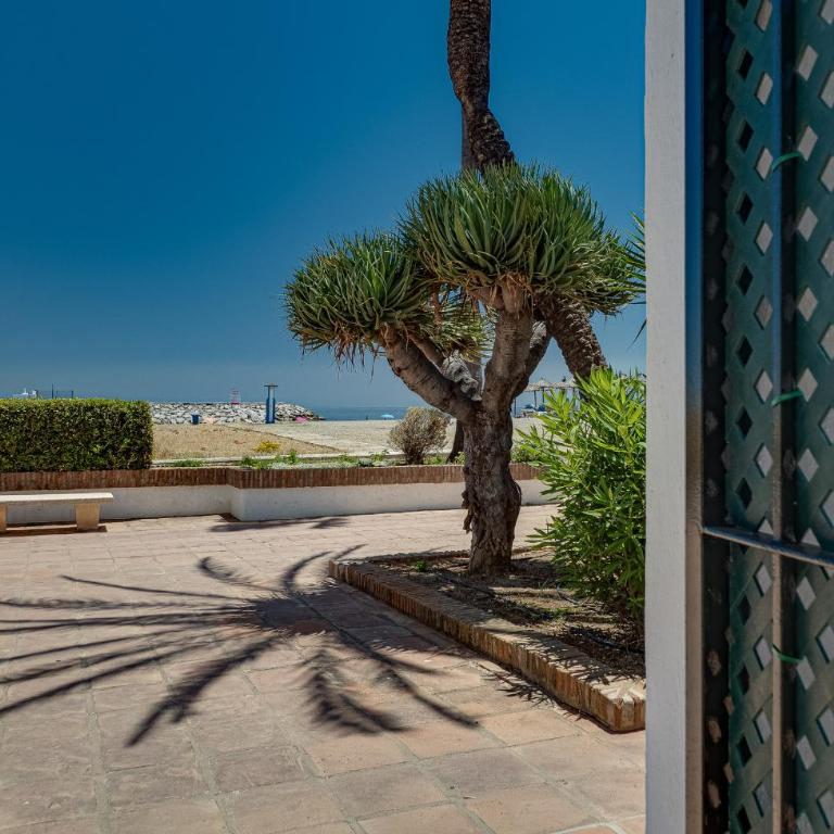 Playa Duquesa 2296 - Apartamento con vistas al mar - 25