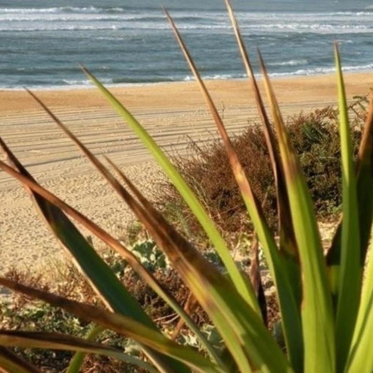 Appartement Rénové avec Balcon, Proche Plage et Marché – 4 Pers, Calme & Confort à Seignosse - FR-1-239-460 - Appartamento con 1 Camera da Letto - 16