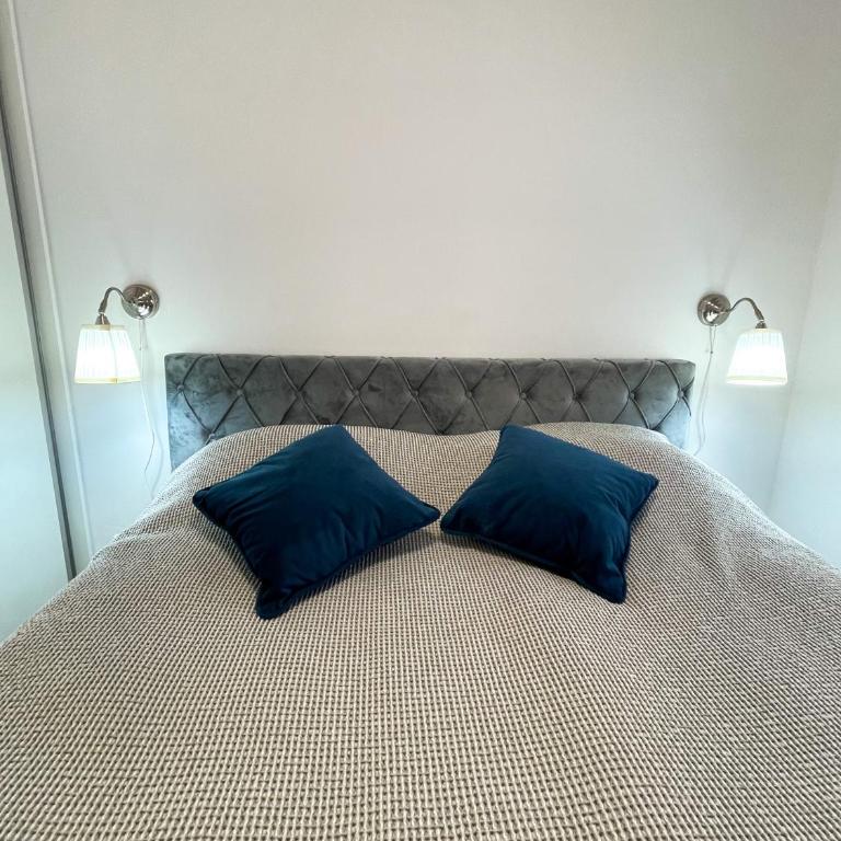Ravna Planina - One-Bedroom Apartment - 9