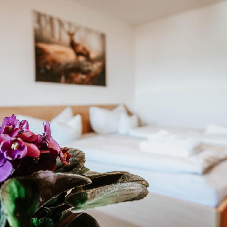 Gasthaus Hirsch - Budget Doppelzimmer - 5