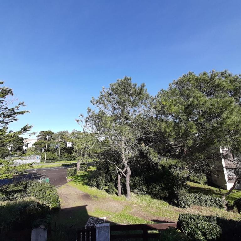 Maison rénovée avec terrasse à 700m des plages, marché et activités - Tennis et piste cyclable à 10m - FR-1-239-385 - Two-Bedroom House - 20