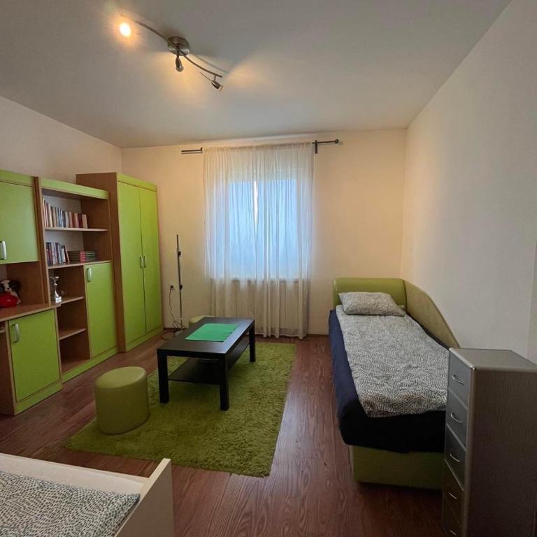 Apartman Nikola - Vikendica - 16